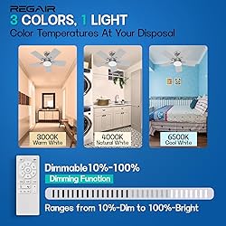 Regair Ceiling Fan 32 Inch, Remote Control DC