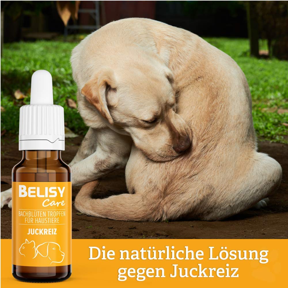 BELISY Juckreiz Bachblüten Tropfen für Hunde & Katzen - gegen Juckreiz - Notfall Tropfen für Haustiere - Fellpflege & Hautpflege - Original Mischung nach Dr. Bach - 20 ml 2