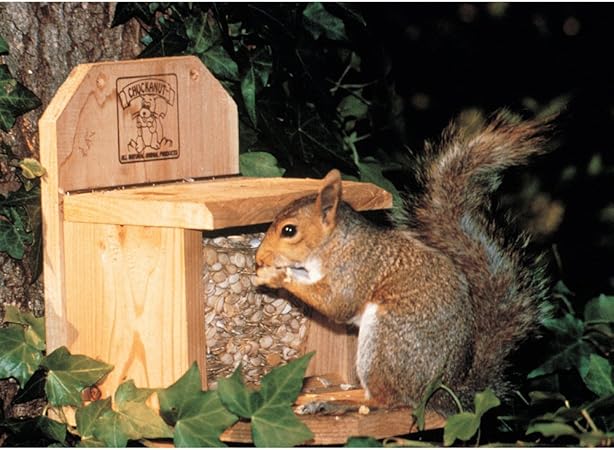 Amazon Com Chuck A Nut Products Combo Squirrel Hopper Bird