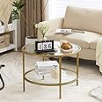 VINGLI Glass Coffee Table, 25.6" Round Champagne Gold Coffee Tables for Living Room, 2-Tier Glass Top Coffee Table with Storage Clear Coffee Table, Simple & Modern Center Table for Small Space
