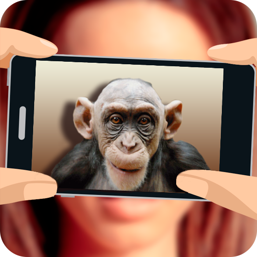 Am monkey. Симулятор обезьяны. игра симулятор обезьяны. what am i monkey. monkey simulator.
