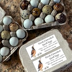SMARSTICKER Unwashed Chicken Quail Duck Egg Carton