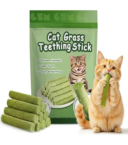 GREMBEB Cat Toys,3 Pack Silvervine Cat Feather Toy Kitten