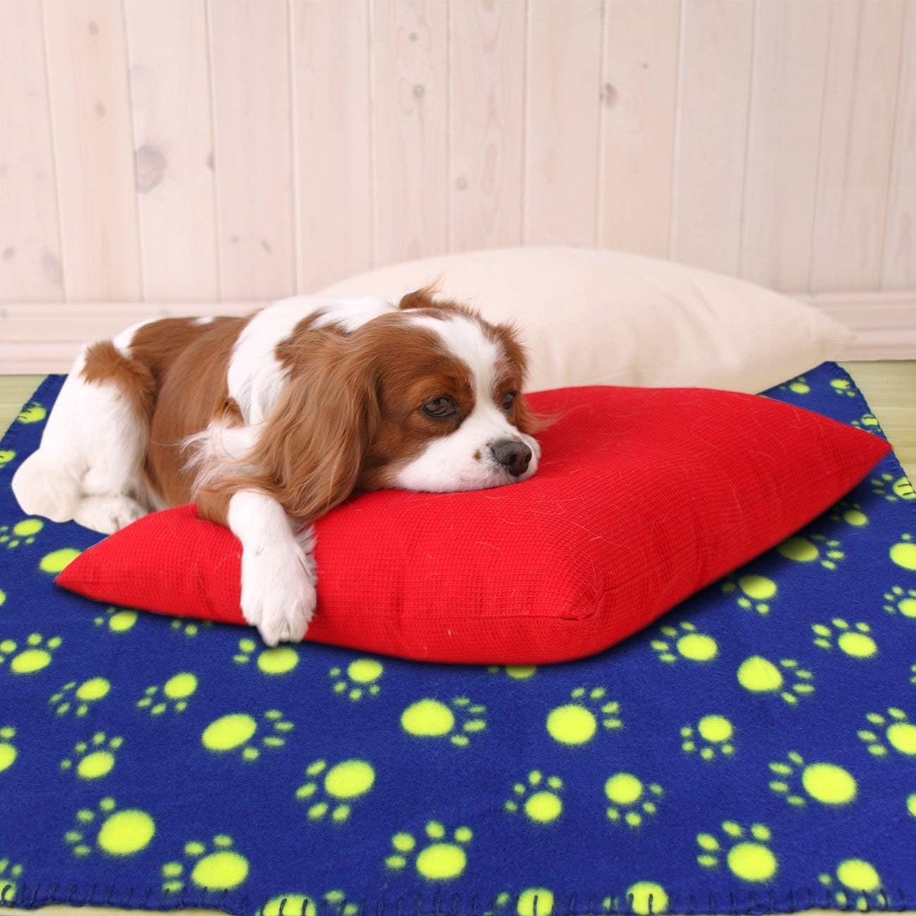 AK KYC 6 Pack Mixed Puppy Blanket Cushion Dog Cat Fleece Blankets Pet Sleep Mat Pad Bed Cover with Paw Print Kitten Soft Warm Blanket for Animals, A : Pet Supplies