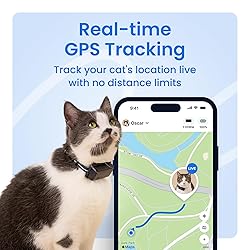 Tractive Smart Cat GPS Tracker | Real-Time Location