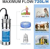 DCHOUSE 12V Stainless Steel Solar Well Pump 3.2GPM 120W Panel Garden Farm view 2