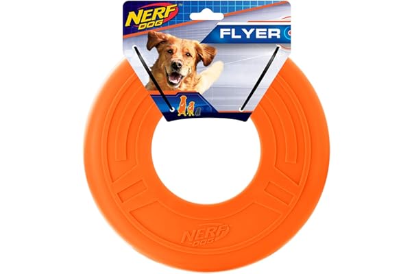 dog friendly frisbee