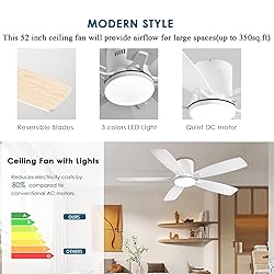 Ayaoty Ceiling Fans with Lights, 52 inch Low