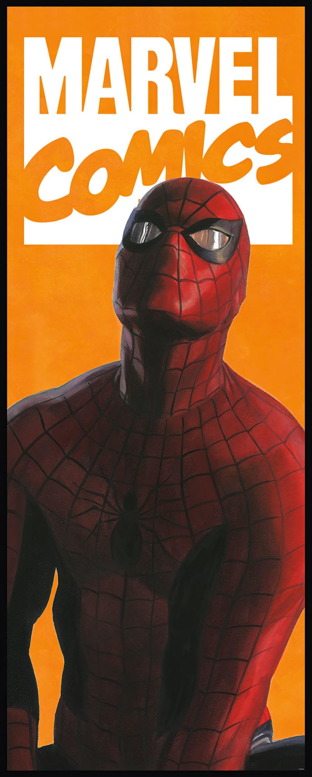 Komar Marvel IADX2-070 Non-Woven Photo Wallpaper Spider-Man Comic Dimensions: 100 x 250 cm (width x height)