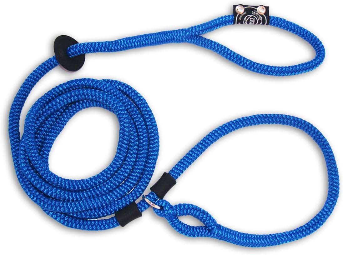 Harness Lead Leash, Medium/Large, Blue