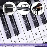 SenZee Piano Keyboard Stickers 88/61/54/49/37 Keys Removable Note Labels view 5