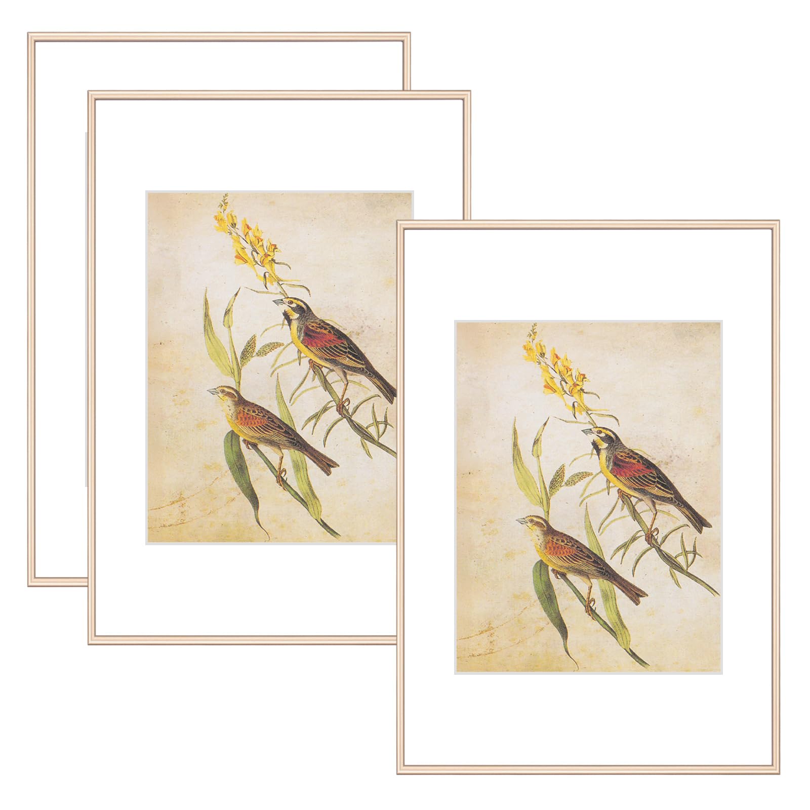 Photo 1 of 8x12 Picture Frame Set of 3, Brass Modern Aluminum Metal Photo Frame with HD Glass, Fits 6x8 with Mat or 8 x 12 without Mat, for Horizontal Wall Mounting