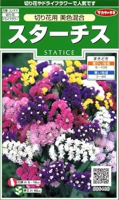 Amazon サカタのタネ 実咲花6486 スターチス 切り花用美色混合 花