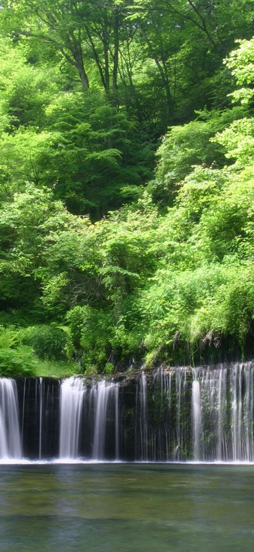 PeelitStickit, Beautiful Nature Wall Murals, ID-3223, vinyl