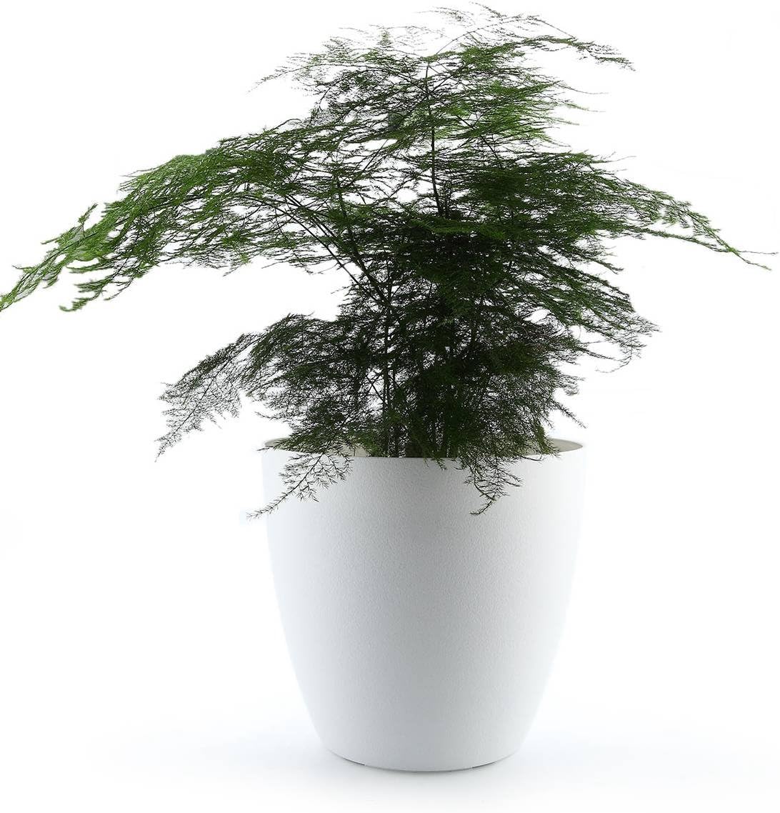 ComSaf 28CM Self Watering Plastic Planter with Water Level Indicator White, Modern Decorative Planter Pot for All House Plants, Flowers, Herbs, African Violets, Succulents