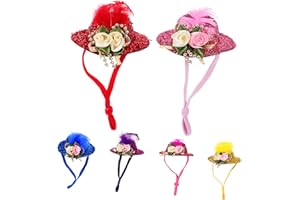 NOLITOY 6pcs Pet Chicken Hat Costume Hats Hat Lizard Cap Hen Accessories Supplies Christmas