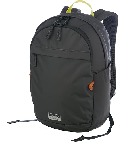 Eddie Bauer Voyager 3.0 22L Backpack with Protected Laptop and Tablet Sleeves : Electronics