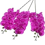 SHACOS Artificial Orchid Stems Set of 3 Real Touch