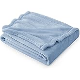 Bedsure GentleSoft Fleece Blankets Twin Size Light Blue - 300GSM Lightweight Plush Fuzzy Cozy Soft Blanket for Bed, Sofa, Couch, Travel, Camping, 60x80 inches