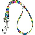 Country Brook Petz Dog & Pet 5/8 Inch Grooming Loop with Spring Loaded Clip - 18 Unique Designs for Grooming and Vet Tables (Classic Tie Dye)