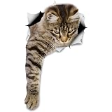 Autocollants Muraux 3D Chat Tabby - Lot De 2 Stickers Grandeur Nature - Pour Frigo, Porte, Voiture, Salle De Bain