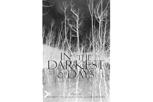 In the Darkest of Days: Exploring Human Sacrifice and Value in Southern Scandinavian Prehistory