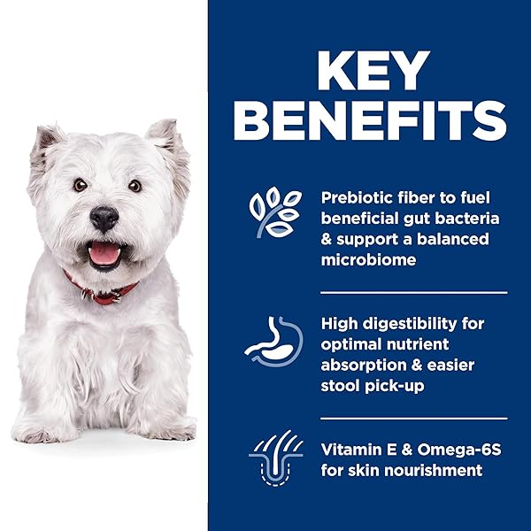 HILL’S SCIENCE DIET SENSITIVE STOMACH & SKIN, ADULT 1-6, STOMACH & SKIN SENSITIVITY SUPPORT, SMALL KIBBLE, DRY DOG FOOD, CHICKEN RECIPE, 4 LB BAG