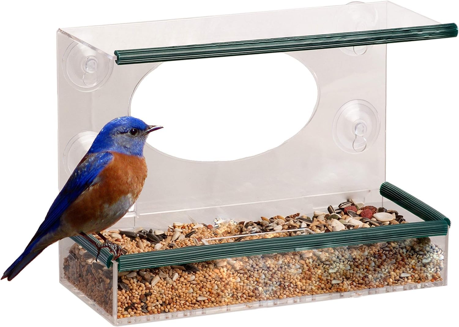 Garden Mile Clear Perspex Window Bird Feeders | Hanging Strong Suction Cup Feeder for Small Birds with Easy Refill & Clean Design | Bird Watching, Wild Birds, Seed, Suet, Mealworms, | Windowsill Seed — image 1