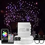 AKEPO Upgraded 16W Dual Head Twinkle Fiber Optic
