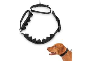 PetSafe Soft Point Training Collar - Helps Stop Pulling - Safer Than Prong or Choke Collars - Teaches Better Leash Manners - 