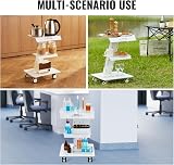 VEVOR 3-Tier Lab Trolley Cart Stainless Steel Rolling Medical Clinic Utility view 6