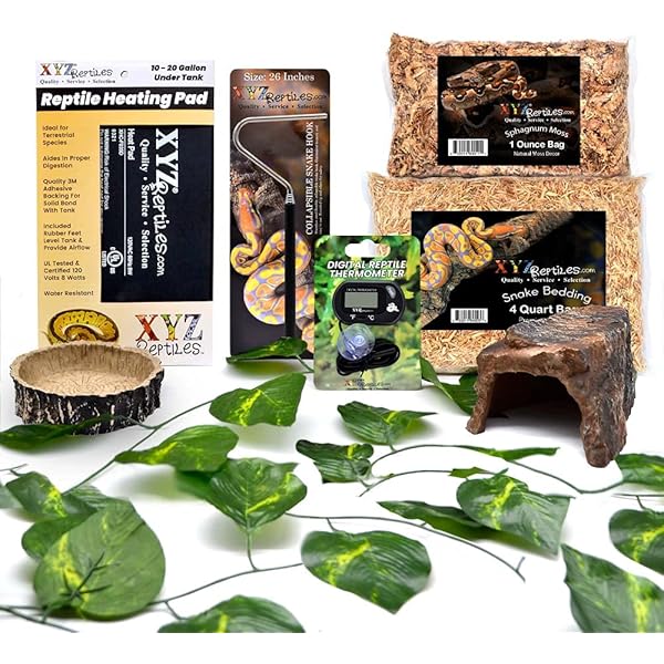 snake cage starter kits