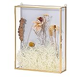 JUXYES 8x10 inches Gold Shadow Box Frame Display