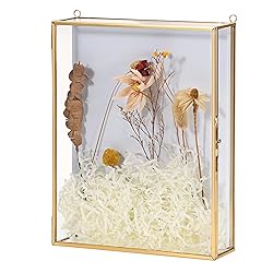 JUXYES 8x10 inches Gold Shadow Box Frame Display