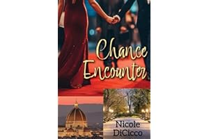 Chance Encounter: A Sexy Novel