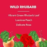 Fabulosa Multi-Purpose Anti-Bacterial Disinfectant 500ml 6 Pack Wild Rhubarb view 2