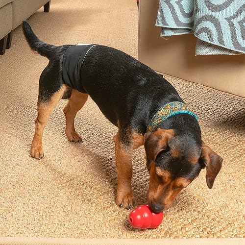 Pet Parents® Washable Belly Bands for Dogs (3pack) Extendrs - Main Image