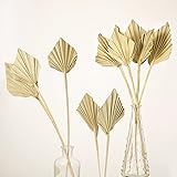 Boho Dried Palm Spears Small Natural Dried Palm Fans Dried Palm Leaves Dried Palm Leaf Palm Fan Leaf with Stem Dried Leaf Dec