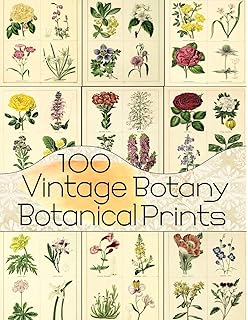 Instant Wall Art Botanical Prints 45 Ready To Frame Vintage Illustrations For Your Home Decor Adams Media 9781440585661 Amazon Com Books