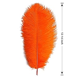 THARAHT Orange Ostrich Feathers 12pcs Large Natural