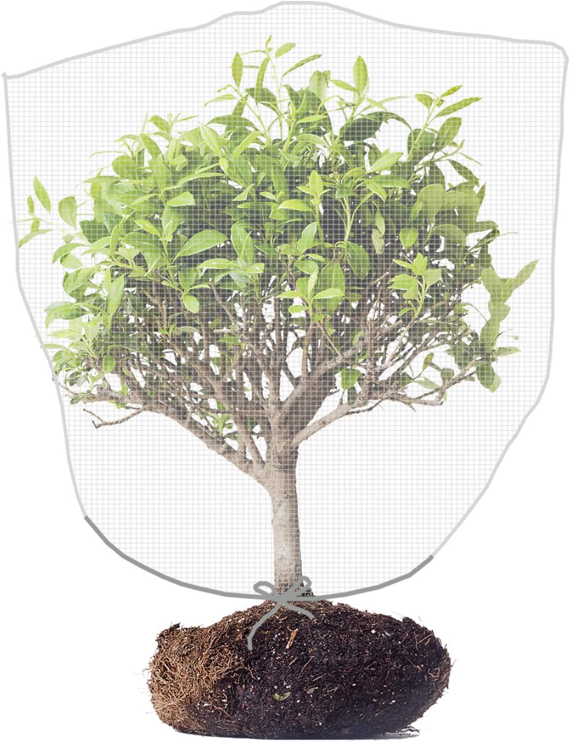 Alpurple 70x82 Inch Insect Bird Barrier Netting Mesh with Drawstring -Garden Bug Netting Plant Cover for Protect Plant Fruits Flower from Insect Bird Eating