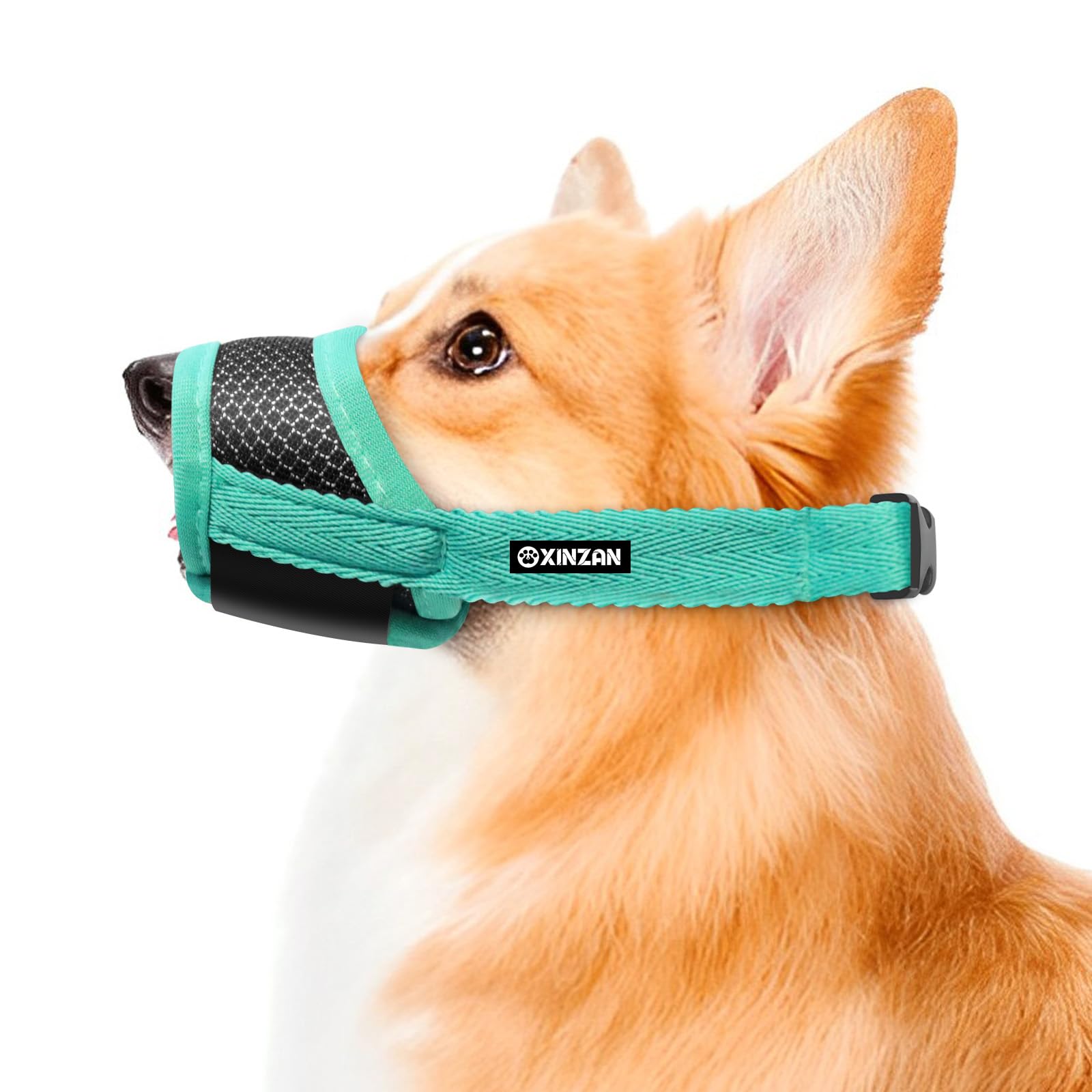 Dog Muzzle for Medium Dogs, Dog Muzzles to Prevent Biting Barking Eating, Soft Nylon Muzzle for Dogs, Adjustable Breathable Mesh Medium Dog Muzzle Allows Panting Drinking (Green, M)