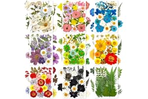 LUCISKY 185 Pcs Pressed Dried Flowers for Resin Molds, Natural Real Flowers Leaves for DIY Art Crafts, Scrapbooking, Epoxy Jewelry, Candle, Soap Making, Nails Decors