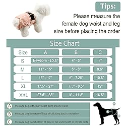 Grecle Washable Female Dog Diapers - Premium