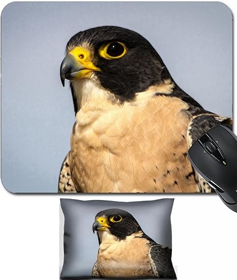 Amazoncom Msd Mouse Wrist Rest And Small Mousepad Set