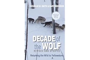 Decade of the Wolf, Revised and Updated: Returning The Wild To Yellowstone