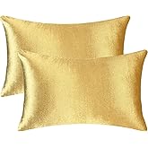 Bunliuys 2 Pack 12x20 Pillow Cover Velvet Pillow Covers, Square Throw Pillow Covers for Living Room Decorations Throw Pillow Case, Throw Pillow Cover Cushion Cover for Home Sofa Bedroom Car, Gold