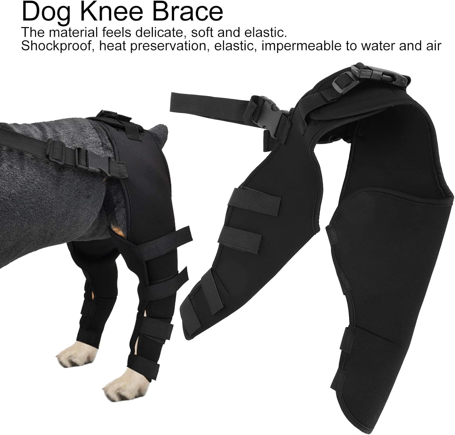 Pet Dog Hind Legs Protector - Image 4