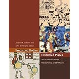 Embattled Bodies, Embattled Places: War in Pre-Columbian Mesoamerica and the Andes (Dumbarton Oaks Pre-Columbian Symposia and