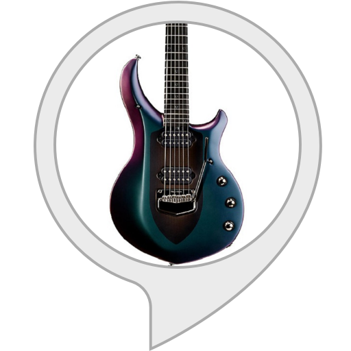 Guitar Tuner Alexa Skills